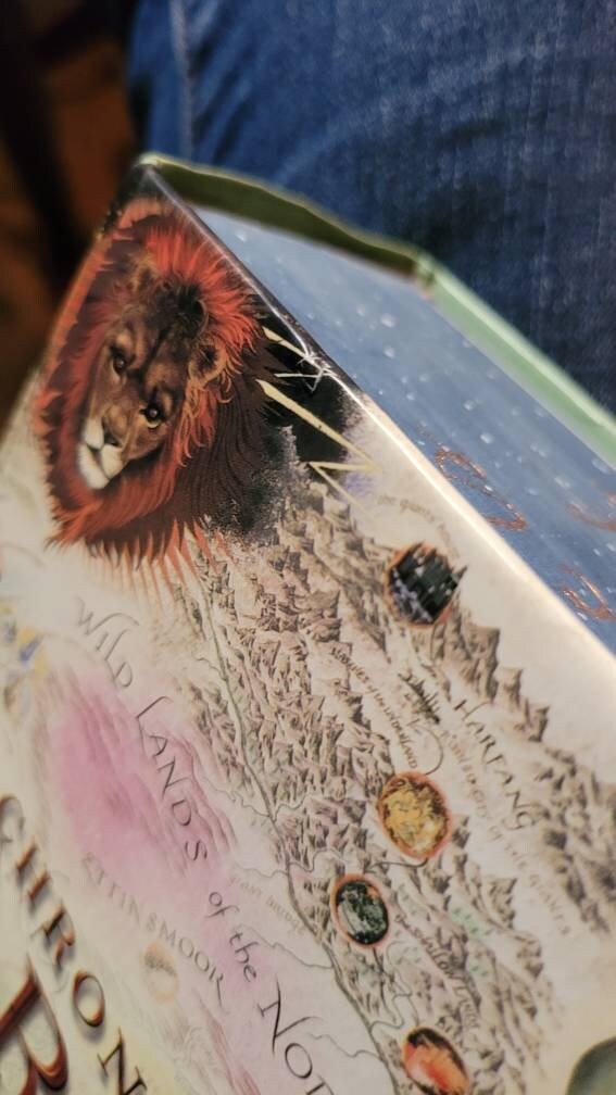 The Chronicles of Narnia Fore Edge Book Painting by C.S. Lewis *made to order*