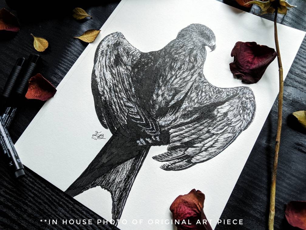 The Hawk Ink drawing, fine art original, Bird Lover Gift Idea, Wild, Eagle, Falcon, Black and White Bird, Wall Decor, Wilderness Art