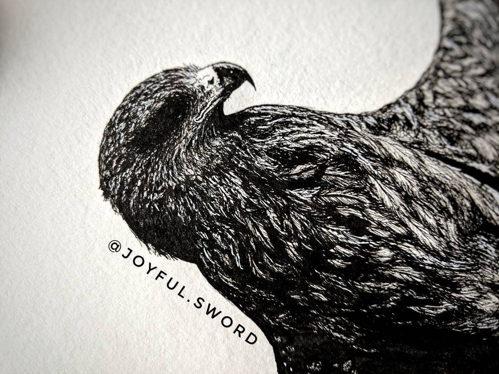 The Hawk Ink drawing, fine art original, Bird Lover Gift Idea, Wild, Eagle, Falcon, Black and White Bird, Wall Decor, Wilderness Art