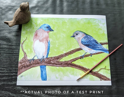 Bluebird Watercolor Print Woodland Painting Bird Decor Backyard Birdwatcher Gift 5x7 8x10