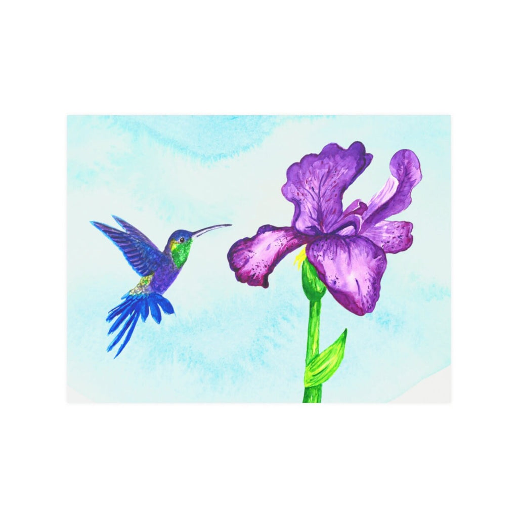 Mexican Violetear Hummingbird Watercolor, purple iris hummingbird, blue and green humming bird, hummingbird enthusiast, hummingbird gift