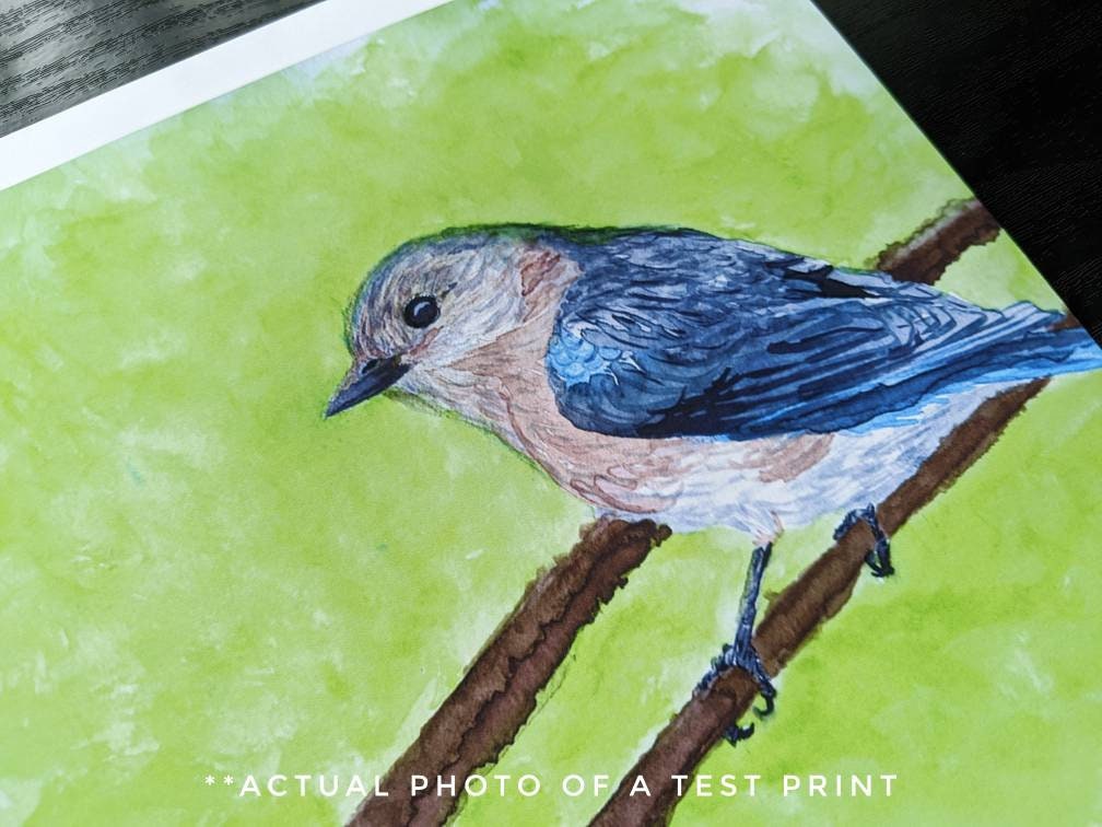 Bluebird Watercolor Print Woodland Painting Bird Decor Backyard Birdwatcher Gift 5x7 8x10