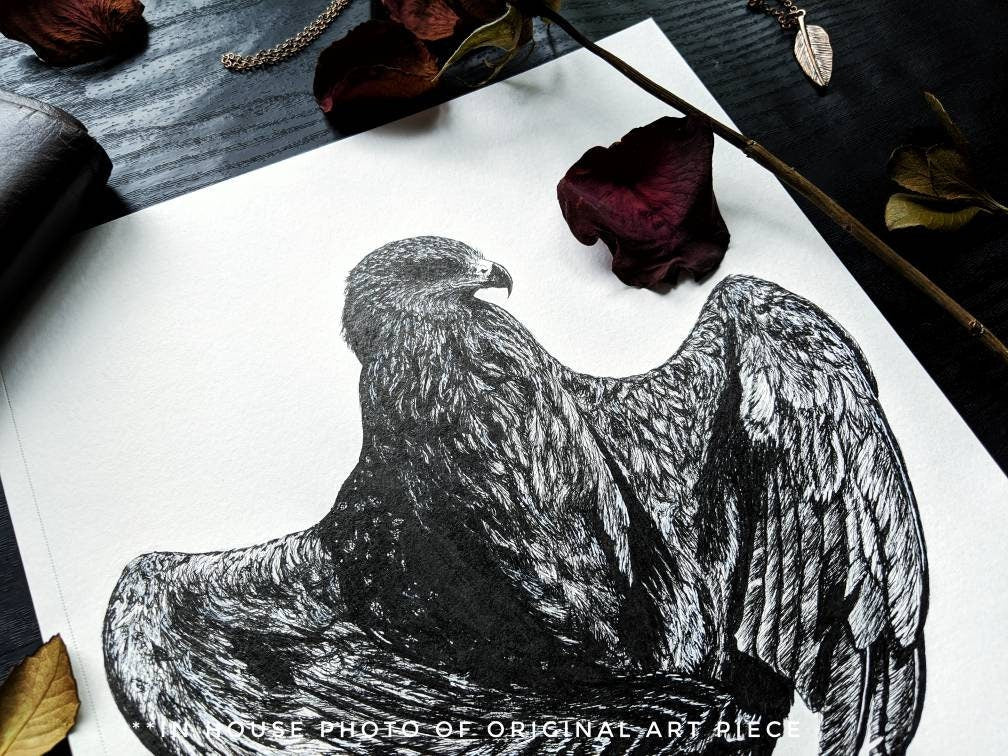 The Hawk Ink drawing, fine art original, Bird Lover Gift Idea, Wild, Eagle, Falcon, Black and White Bird, Wall Decor, Wilderness Art