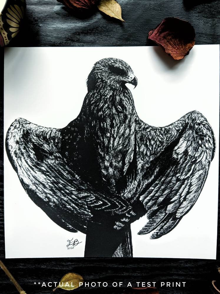 Flying Eagle Print Eagle ink drawing, Isaiah 40:31 drawing, they shall mount up with wings as eagles