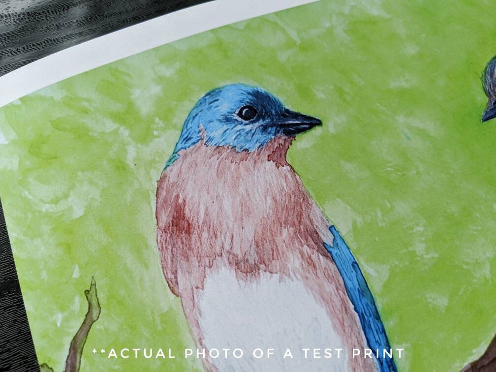 Bluebird Watercolor Print Woodland Painting Bird Decor Backyard Birdwatcher Gift 5x7 8x10