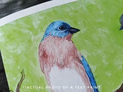 Bluebird Watercolor Print Woodland Painting Bird Decor Backyard Birdwatcher Gift 5x7 8x10