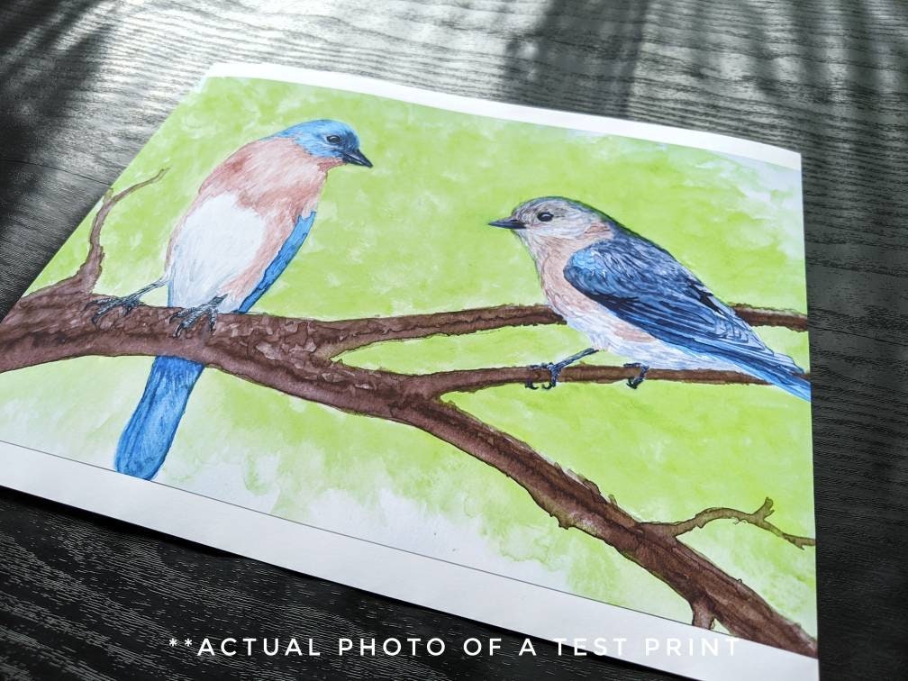 Bluebird Watercolor Print Woodland Painting Bird Decor Backyard Birdwatcher Gift 5x7 8x10