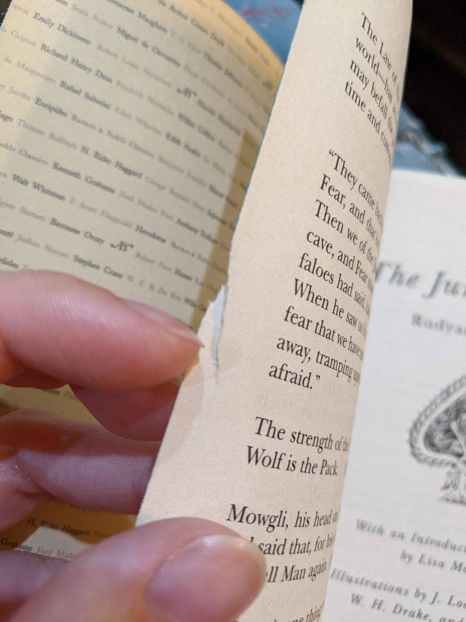 The Jungle Book Fore Edge Painting - Barnes and Noble Classic Book Artwork