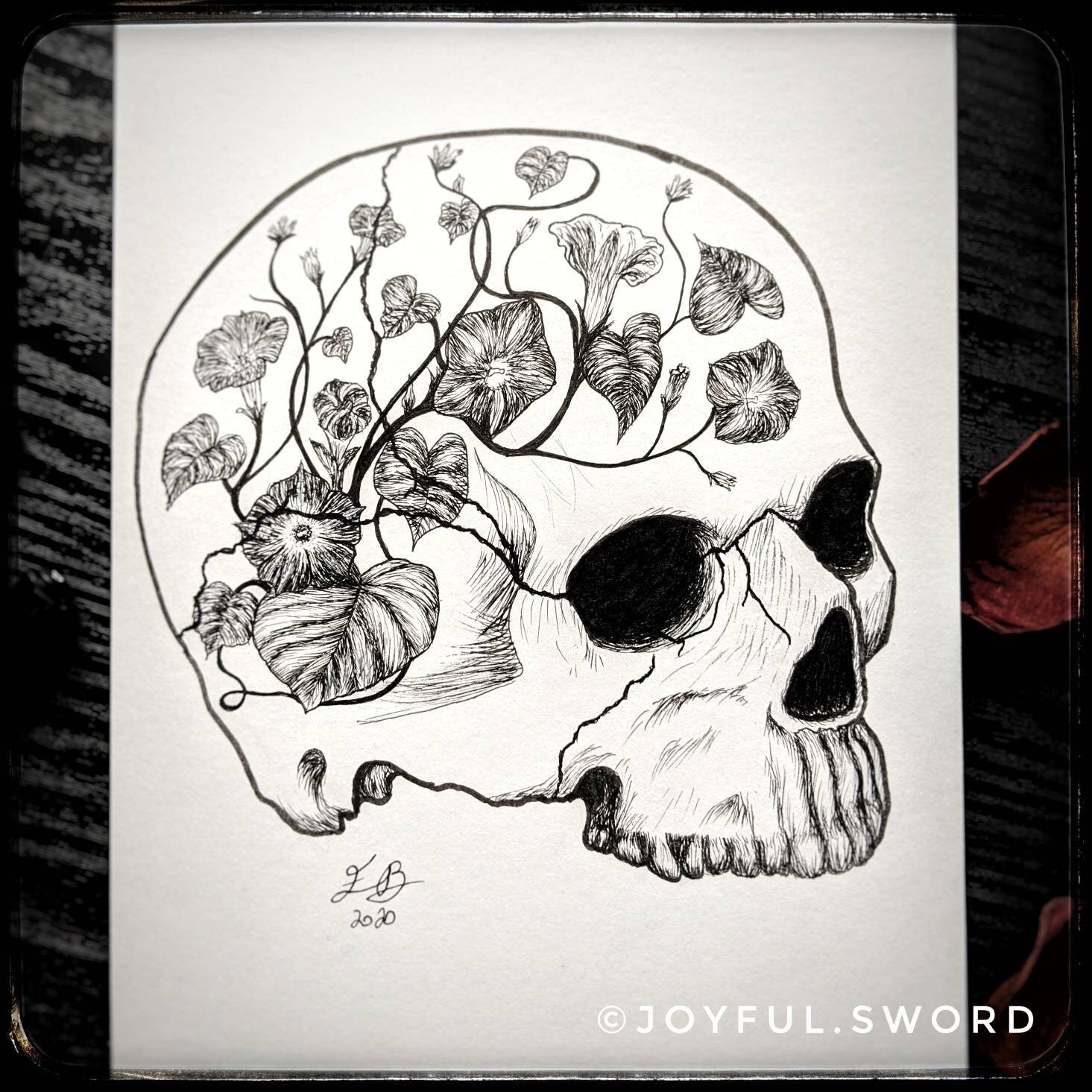 Flower skull original signed ink drawing, skull illustration, morning glory dark art, tattoo design Jolly Roger, pen and ink skull drawing