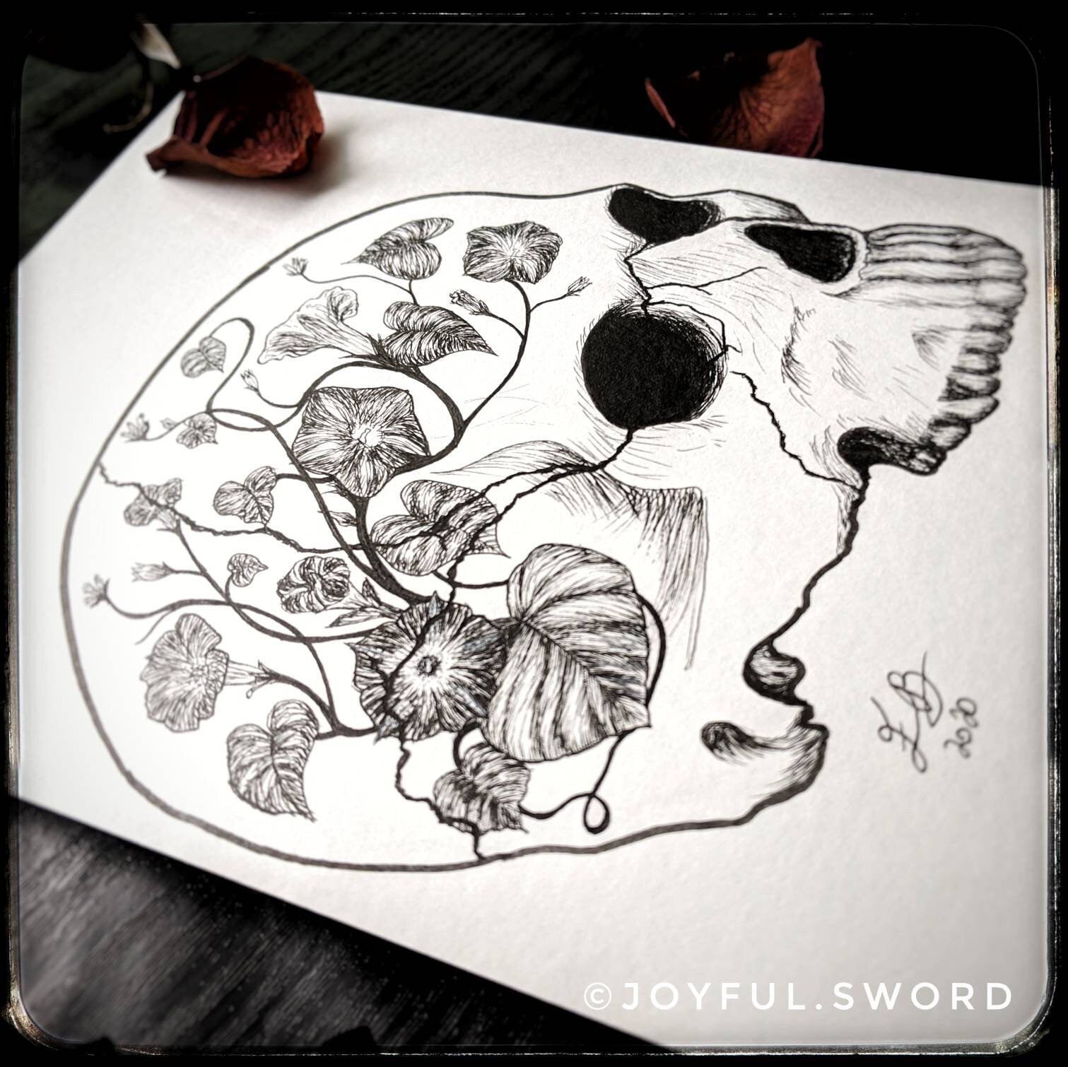 Flower skull original signed ink drawing, skull illustration, morning glory dark art, tattoo design Jolly Roger, pen and ink skull drawing