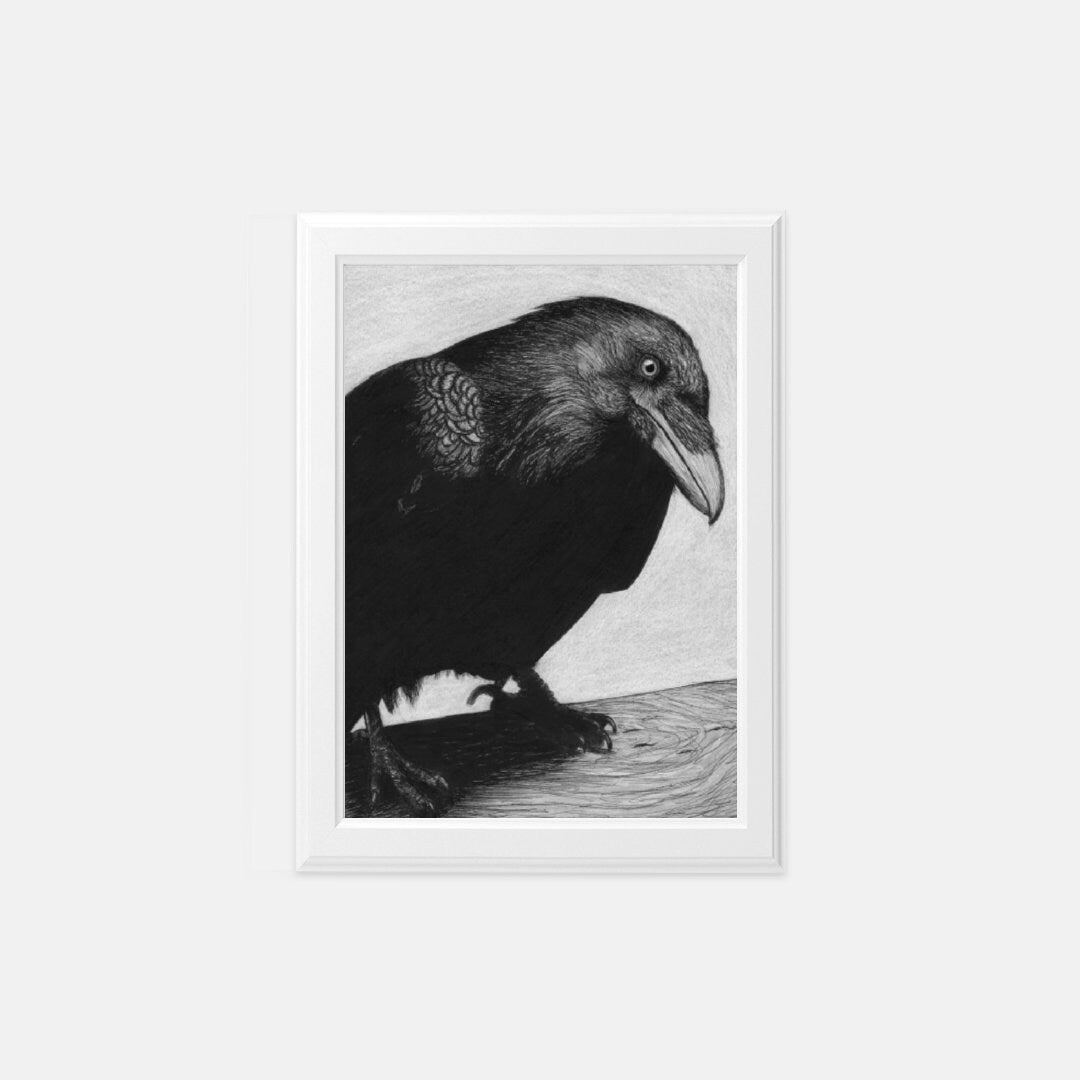Raven Charcoal Drawing – Gothic Bird Wall Art, Black and White Raven Portrait, Crow Art Print, Dark Nature Decor, Raven Portrait