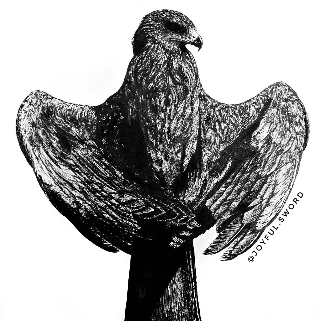 The Hawk Ink drawing, fine art original, Bird Lover Gift Idea, Wild, Eagle, Falcon, Black and White Bird, Wall Decor, Wilderness Art