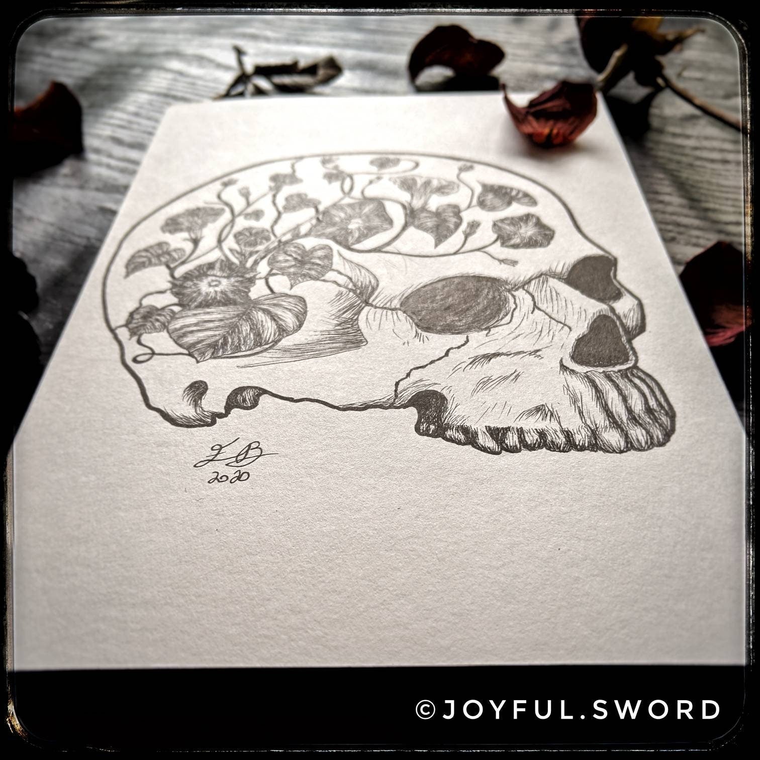 Flower skull original signed ink drawing, skull illustration, morning glory dark art, tattoo design Jolly Roger, pen and ink skull drawing
